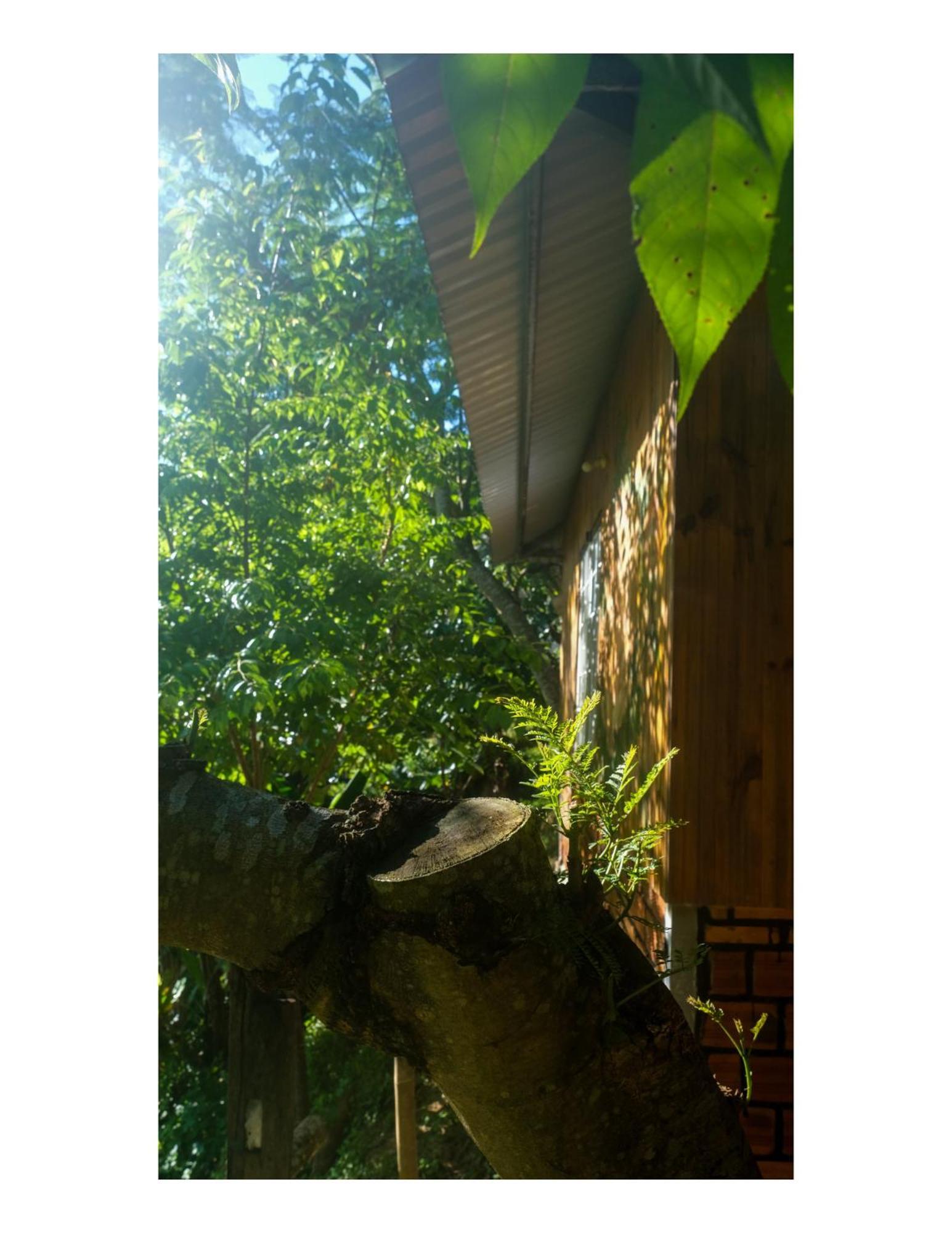 Nha Ben Ho - Da Lat Homestay Exterior foto
