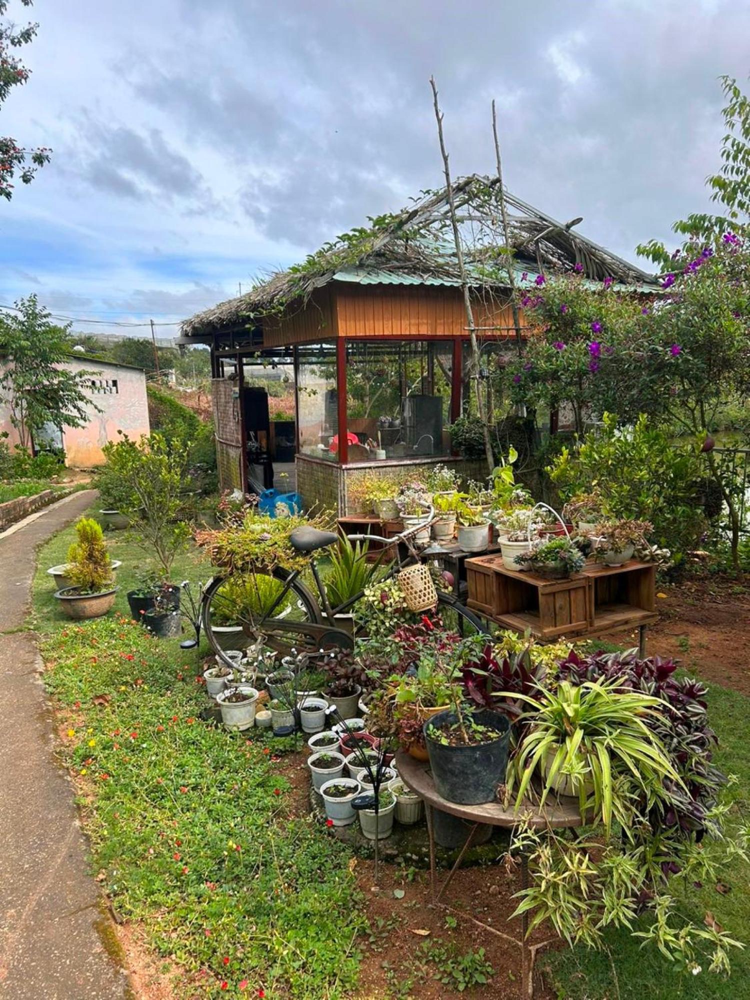 Nha Ben Ho - Da Lat Homestay Exterior foto
