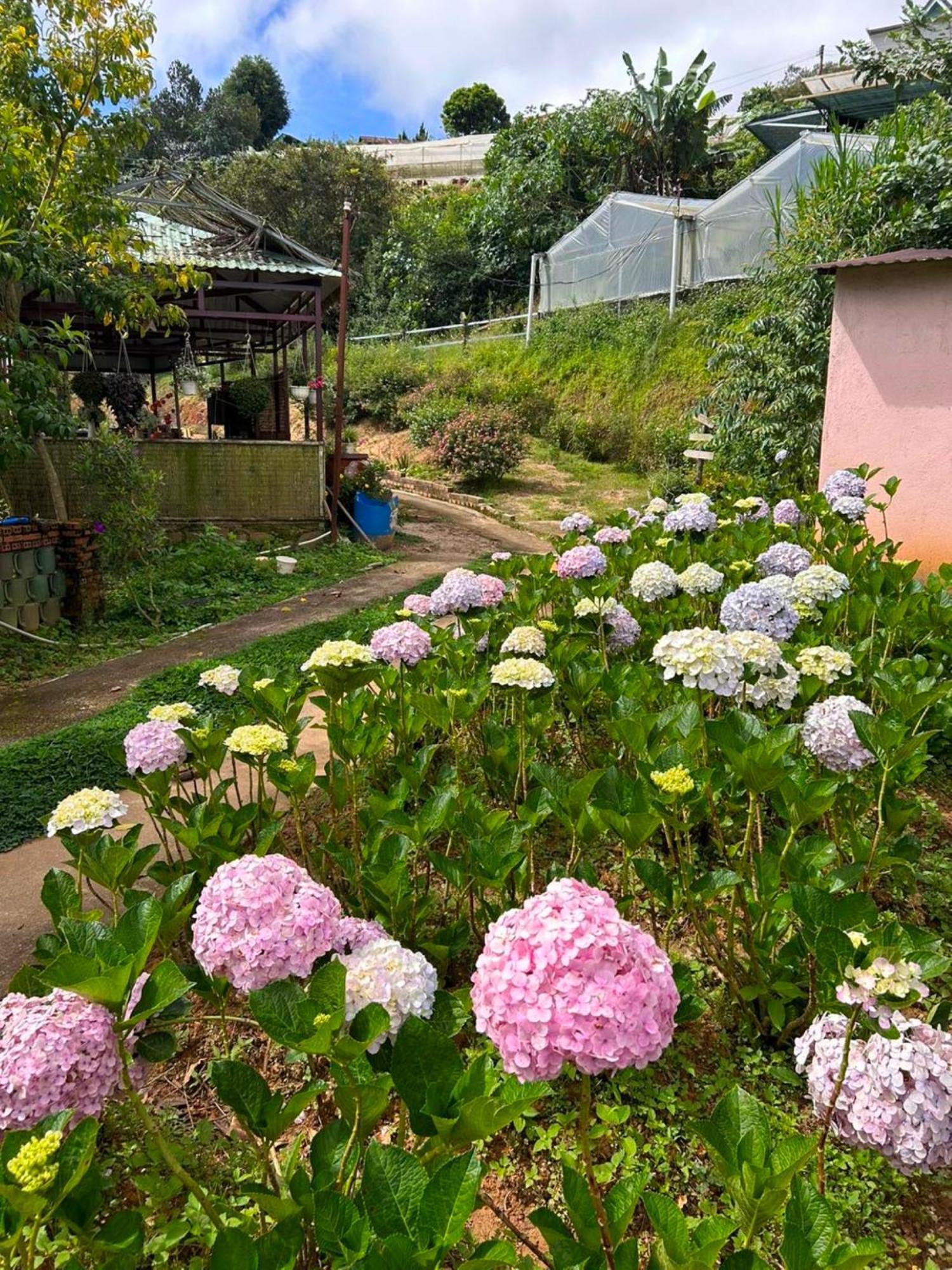 Nha Ben Ho - Da Lat Homestay Exterior foto