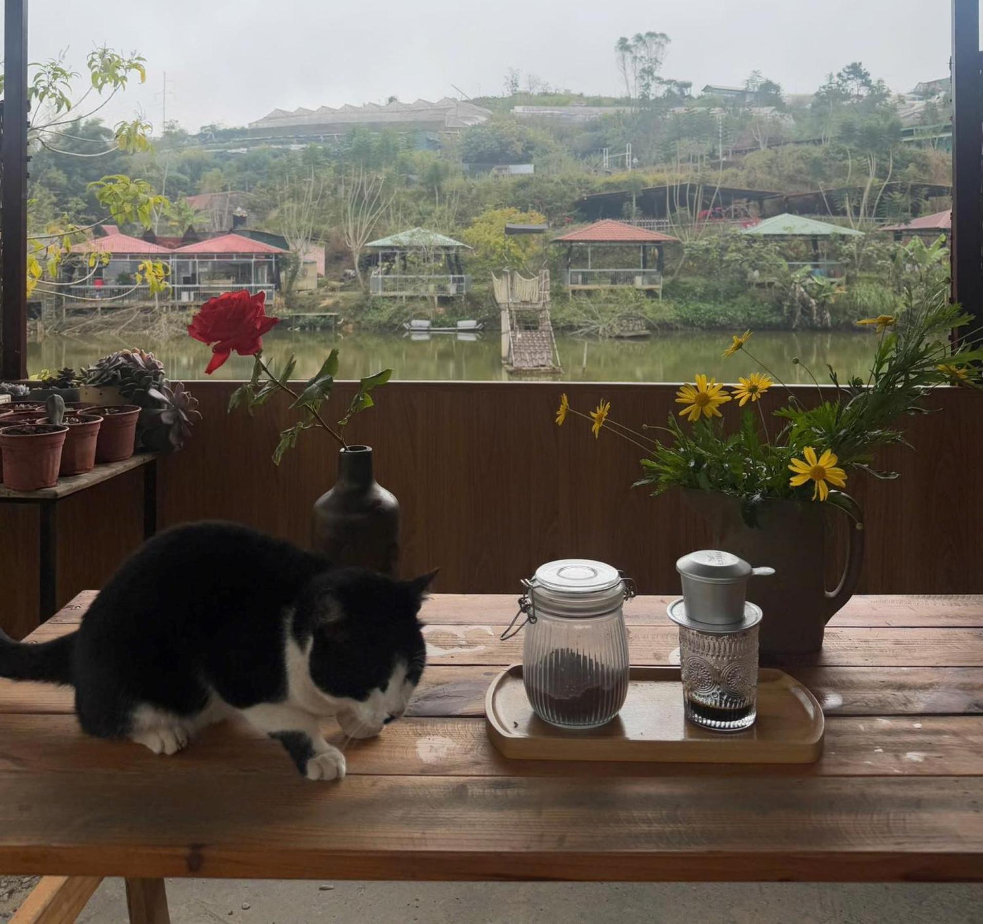 Nha Ben Ho - Da Lat Homestay Exterior foto